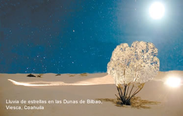 viesca coahuila